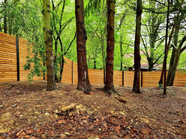 modrinove-oploceni-2